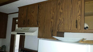 20150806_121109_resized