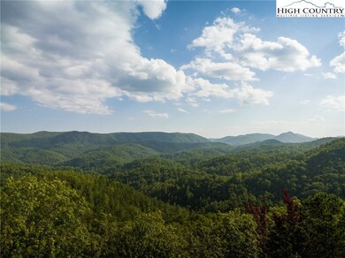 1318 Roundleaf Ln, Ferguson, NC 28624 - photo 4