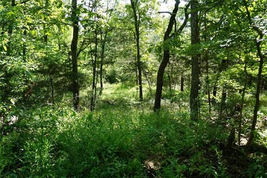 0 Harris Rd, Fayetteville, AR 72701 - photo 6