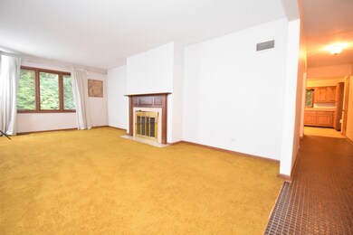 2341 Trillium Ln, Naperville, IL 60565 - photo 7