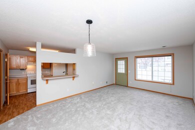 11547 Elmwood Ave N unit 55, Champlin, MN 55316 - photo 4