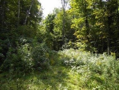 0 W View Ridge Rd, Northfield, VT 05663 - photo 4