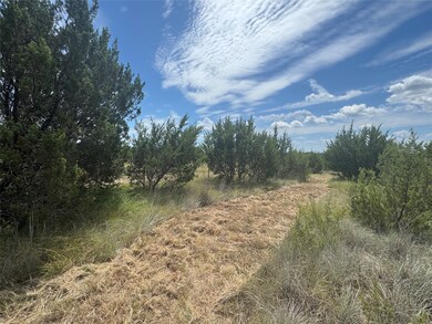 7800 Boswell Ct, Lipan, TX 76462 - photo 4