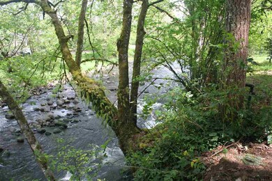 17765 S Abiqua Rd NE, Silverton, OR 97381 - photo 4