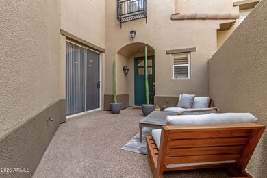 05 Grayhawk