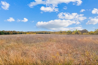 823 W Saunders St, Trenton, TX 75490 - photo 4