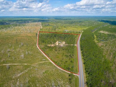 5237 Bloxham Cutoff Rd, Crawfordville, FL 32327 - photo 2