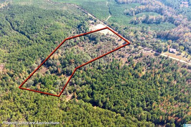 0 County Road 101, Plantersville, AL 36758 - photo 7