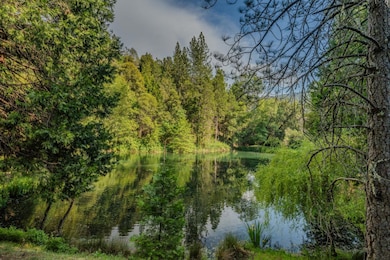 unlisted-address, Fiddletown, CA 95629 - photo 7