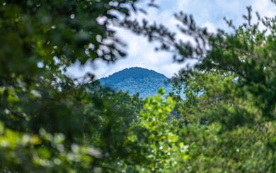 Additional View