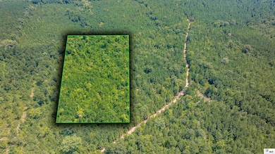 0 Guyton Swamp Rd, Calhoun, LA 71225 - photo 3