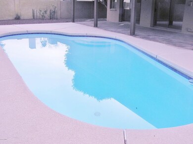 BEAUTIFUL POOL!