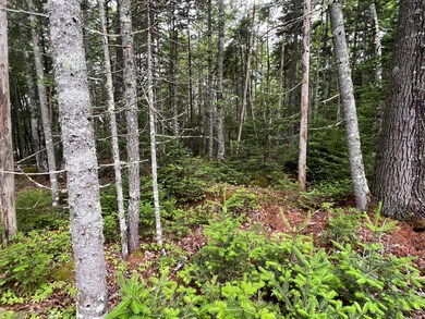 Lot 3 Bluff Rd Bar Harbor 4