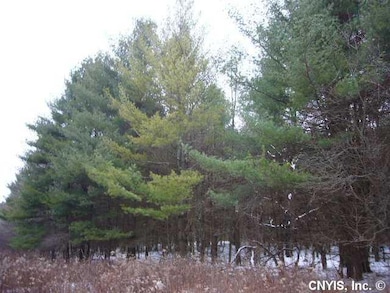Land Woods