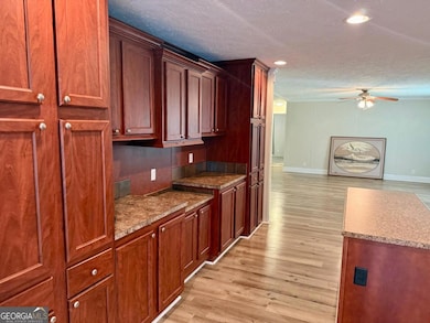 1093 Lawrence Church Rd, Pembroke, GA 31321 - photo 4