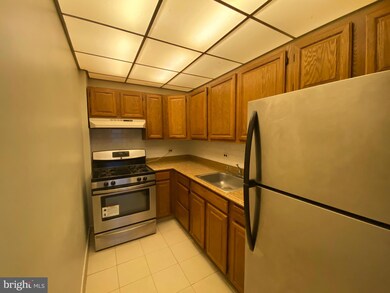 Wildman Arms Condominiums unit B111, Lansdowne, PA 19050 - photo 6