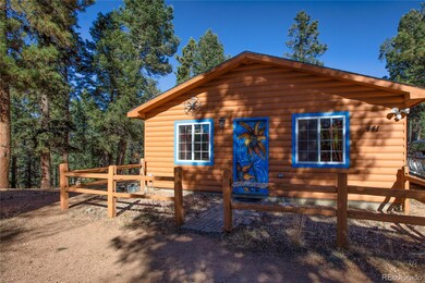 441 Paint Pony Ln, Florissant, CO 80816 - photo 2