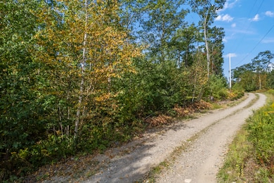 Lot #13 Tonal Ln, West Bath, ME 04530 - photo 6