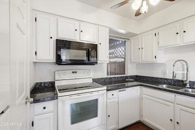 11_photo nov 14 2025, 11 23 50 am (1)