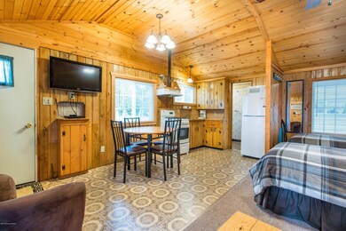 37804 Eldorado Beach Rd unit 2, Battle Lake, MN 56515 - photo 7