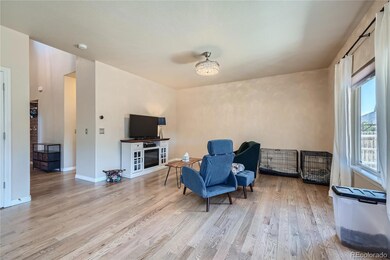 6613 Alliance Loop, Colorado Springs, CO 80925 - photo 5