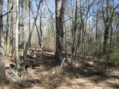 1 Walnut Plain Rd, Rochester, MA 02770 - photo 6