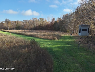 0 Paradise Rd, Bentonia, MS 39040 - photo 4