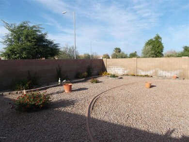 Huge backyard2