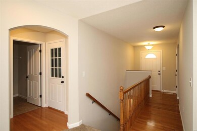 Charming Arched Doorways
