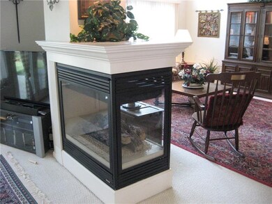 UNIQUE GAS FIREPLACE SERVING LIVING AND DINING ROO