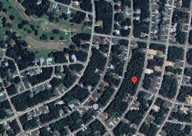 8100 N Triana Dr, Citrus Springs, FL 34434 - photo 6