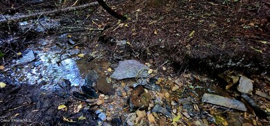 0 Alder Way unit 23-8799, St. Maries, ID 83861 - photo 5