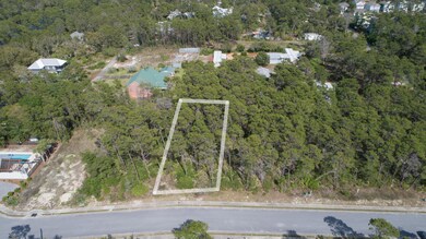 Lot#6PineConeTr-6