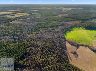 0 Thomas Rd unit 163843, Millen, GA 30442 - photo 2