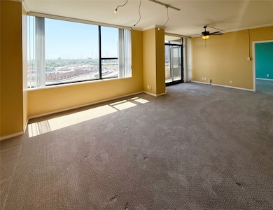 These southern facing windows allow sunlight in al