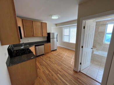 4606 N Monticello Ave unit 3S, Chicago, IL 60625 - photo 5