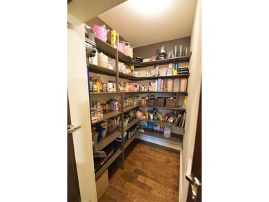 Spacious walk-in pantry