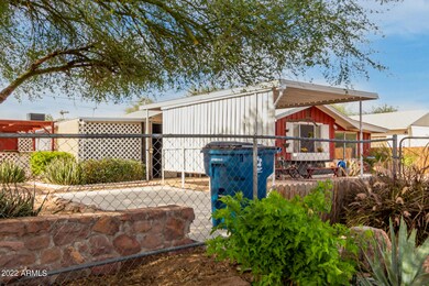05 Ocotillo