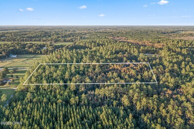 XXX Parrish Still Rd, Vernon, FL 32462 - photo 7