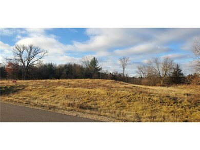 1006 Moon Glow Rd, Hudson, WI 54016 - photo 4