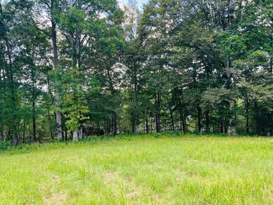 143 Dockery Rd, Russell Springs, KY 42642 - photo 5