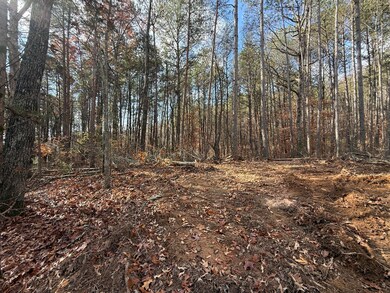 Lot 4 Parksville Rd, Benton, TN 37307 - photo 6