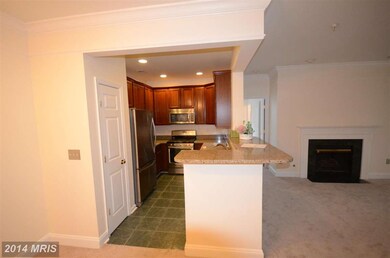 11314 Westbrook Mill Ln, Fairfax, VA 22030 - photo 3