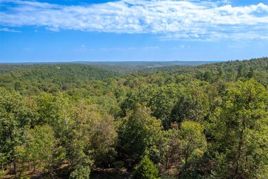 0 Madison Cr 411 (120c) unit 120c, Fredericktown, MO 63645 - photo 4