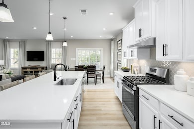 3716 Pleasant Gate Ln, Knightdale, NC 27604 - photo 5