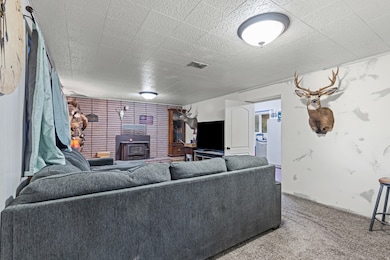 Living room featuring a wood stove and carpet flooring