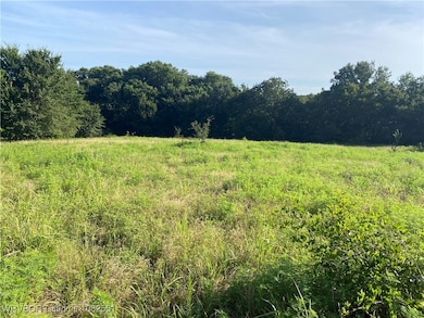 Tract 3 E1250 Rd, Whitefield, OK 74462 - photo 4