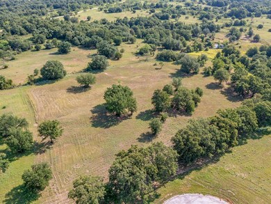 329 Arborview Dr, Weatherford, TX 76088 - photo 6