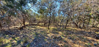 15957 Salado Dr, Temple, TX 76502 - photo 6