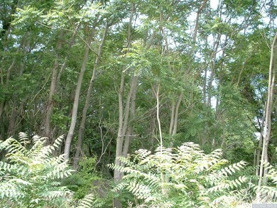 0 Willowbrook Rd, Livingston, NY 12541 - photo 6